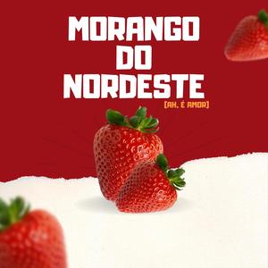 MTG Morango do Nordeste (Ah, é Amor)