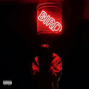 Bird (Explicit)