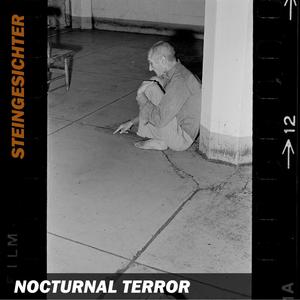 Nocturnal Terror