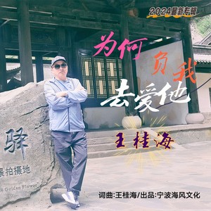 为何负我去爱他-烟嗓版