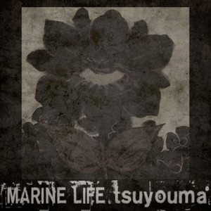 marine life