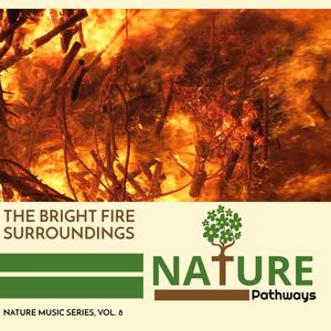 The Bright Fire Surroundings - Nature Music Series, Vol. 8