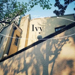 ivy
