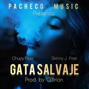 Gata Salvaje (feat. Chupy Flow & Skinny J Free) (Explicit)