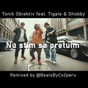 Nu stim sa pretuim (feat. Tigaie & Shobby) [Remix]