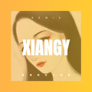 相遇相知又相爱 (DJ版)