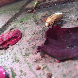 Keep Up(feat. Tru Nature) (Explicit)