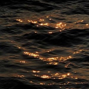 喜欢你这件事肯定没有错啦 (Demo)