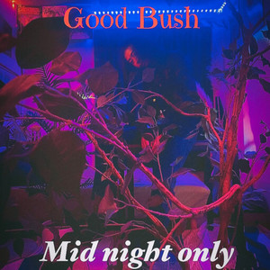 Good Bush / Mid night only