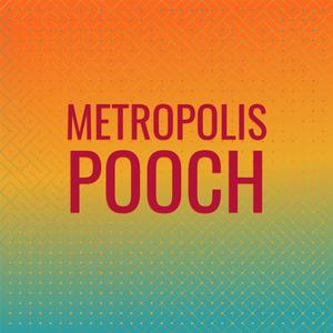 Metropolis Pooch
