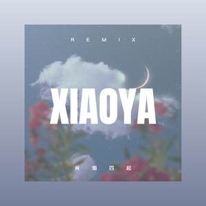 别消失太快 (Remix)