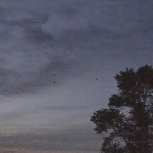 忽然之间 (Single Version)