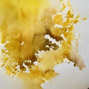 wait_in_gold - who is it?