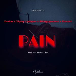 Pain (feat. Zeekaz, Yipszy, Jamjam & Shilegzy Swazzo)