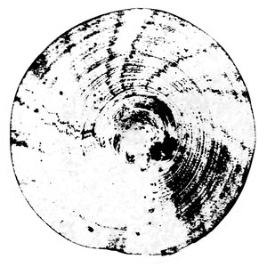 Collective Chaos (Neel & Laertes Remix)