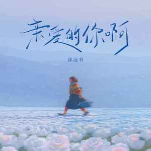 亲爱的你啊-徐远书