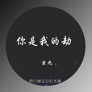 你是我的劫
