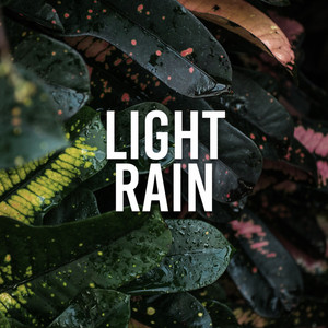 Light Rain