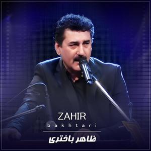 Sarzaminam (feat. Freshta sama)