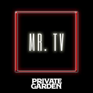 Mr. TV