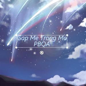 Gặp Mẹ Trong Mơ