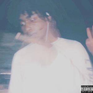 BIRDS AND THE BEES (feat. GioHundo) (Explicit)