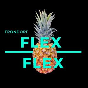 Flex Flex (Original Mix)