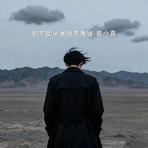 你不回头我就不挽留