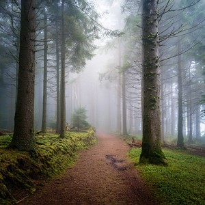 The Silence Between Two Thoughts