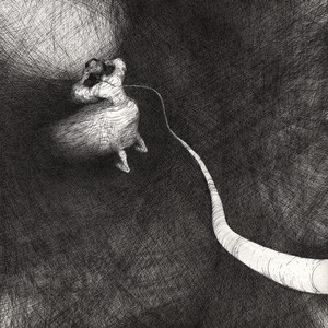 Полюса - Север не отпускает