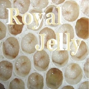 Royal Jelly