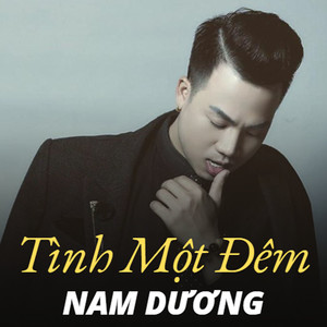 Tình Một Đêm