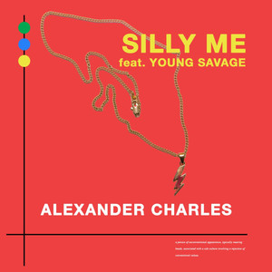 Silly Me (feat. Young Savage) [Explicit]