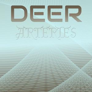 Deer Arteries