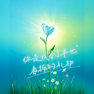 你是我等了半世未拆的礼物