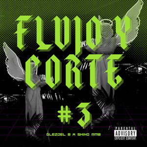 Flujo y Corte #3 (Explicit)