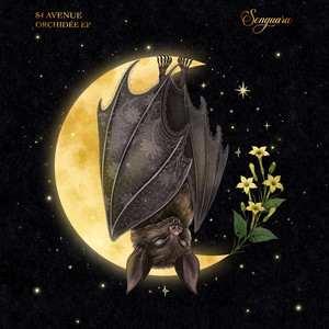 Station Cygne (Extended Mix)