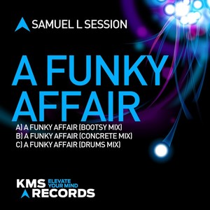 A Funky Affair (Bootsy Mix)