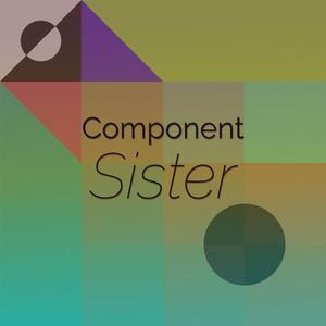 Component Sister