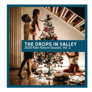 The Drops in Valley - 2020 Rain Nature Sounds, Vol. 3