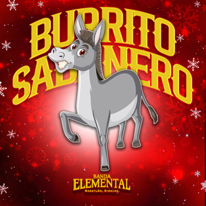 Burrito Sabanero