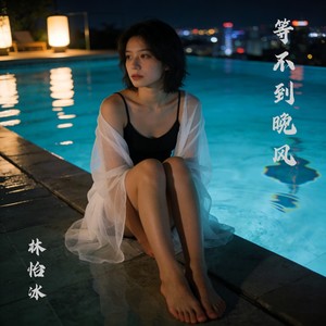 等不到晚风 (DJ版伴奏)