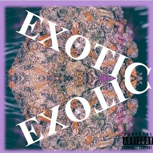 Exotic (Explicit)