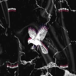 BIRD (feat. Kali Crxw) [Explicit]