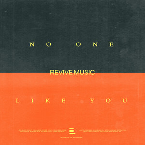 No One Like You (Acoustic)