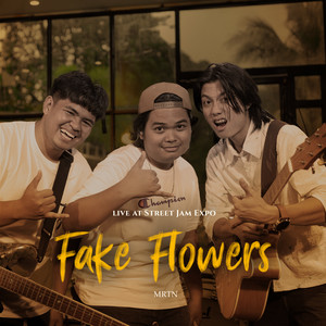 Fake Flowers (Live at Street Jam Expo)