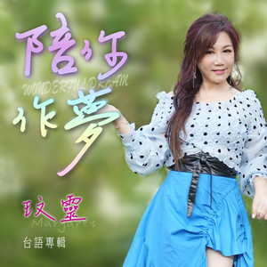 陪你作梦封面