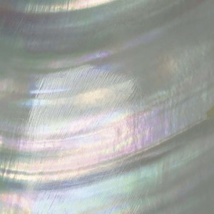 想你的365天