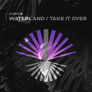 Slow B - Take It Over