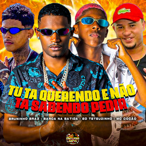 Tu Tá Querendo e Não Tá Sabendo Pedir (Explicit)